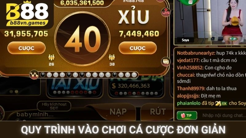 Quy trình vào chơi cá cược vô cùng đơn giản