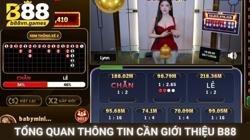 Tổng quan thông tin cần giới thiệu B88