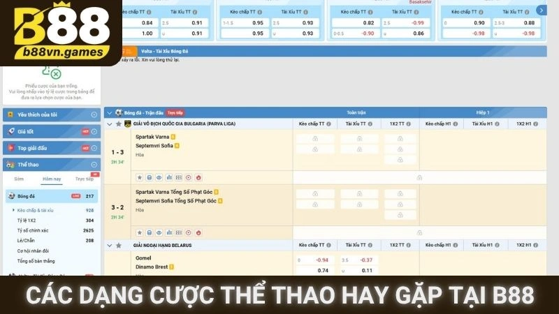 Các dạng cược Thể thao hay gặp tại B88